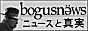 bogusnews